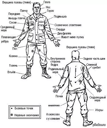 Болевые точки на теле человека в картинках