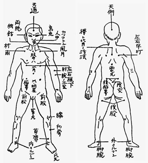 Кюшо джитсу. Кюшо джитсу болевые точки. Схема болевых точек Кюшо джитсу. Кюшо джитсу книга.