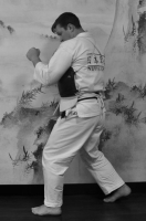 правосторонняя