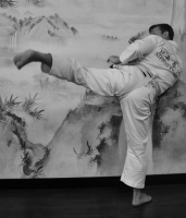 Удар Уйоко-Туки-Гери