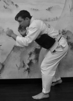 Кугари-ми влево