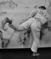 Уширо-Гери кэкоги