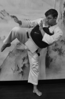 Хиза-Гери сбоку