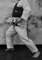 Зенкуцу-дачи