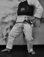 Кокуцу-дачи